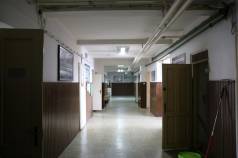 IMG 6375
